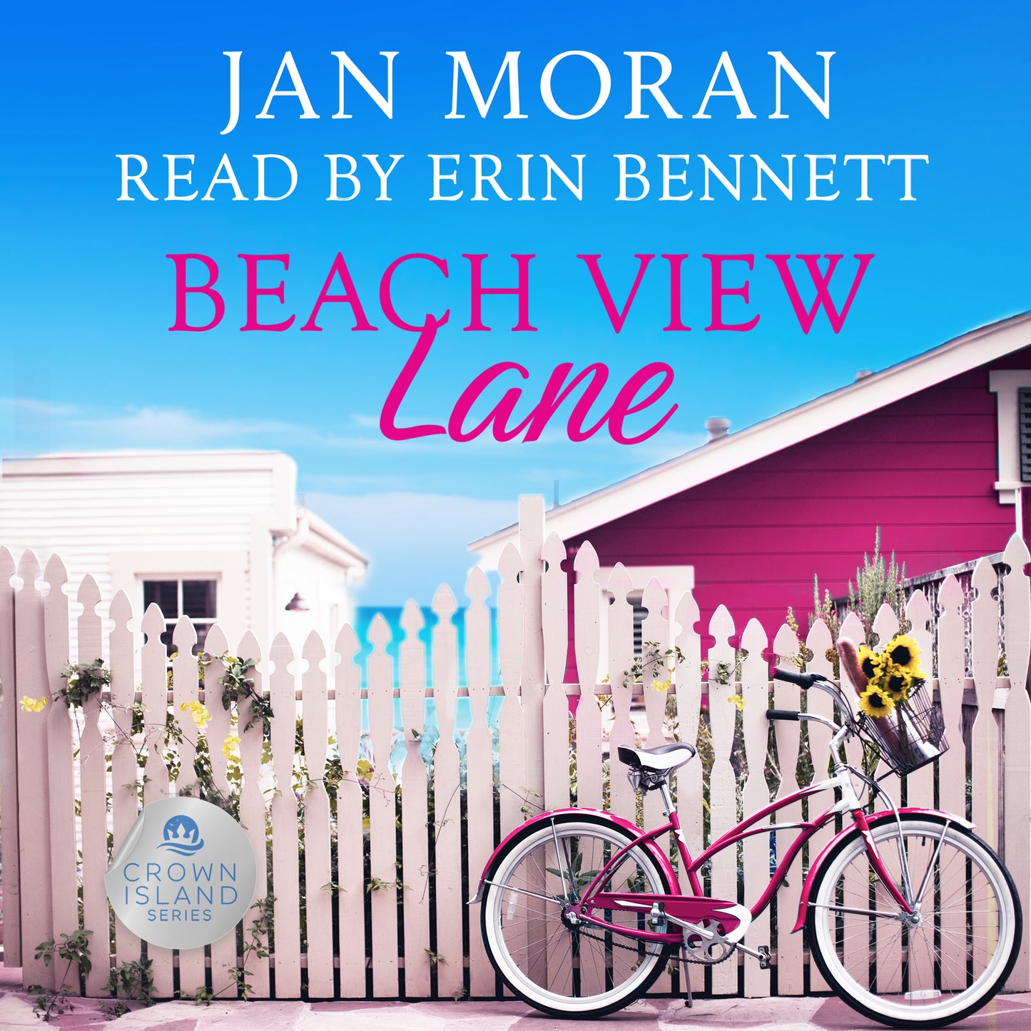 Beach View Lane AUDIOBOOK Plus Bonus Scene