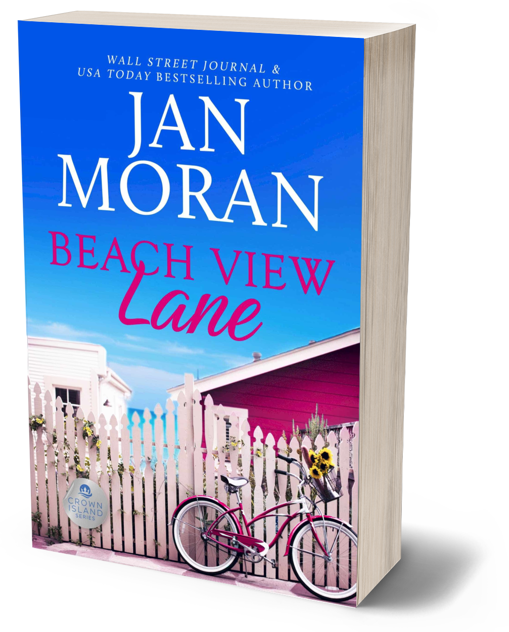 Beach View Lane (Crown Island #1)